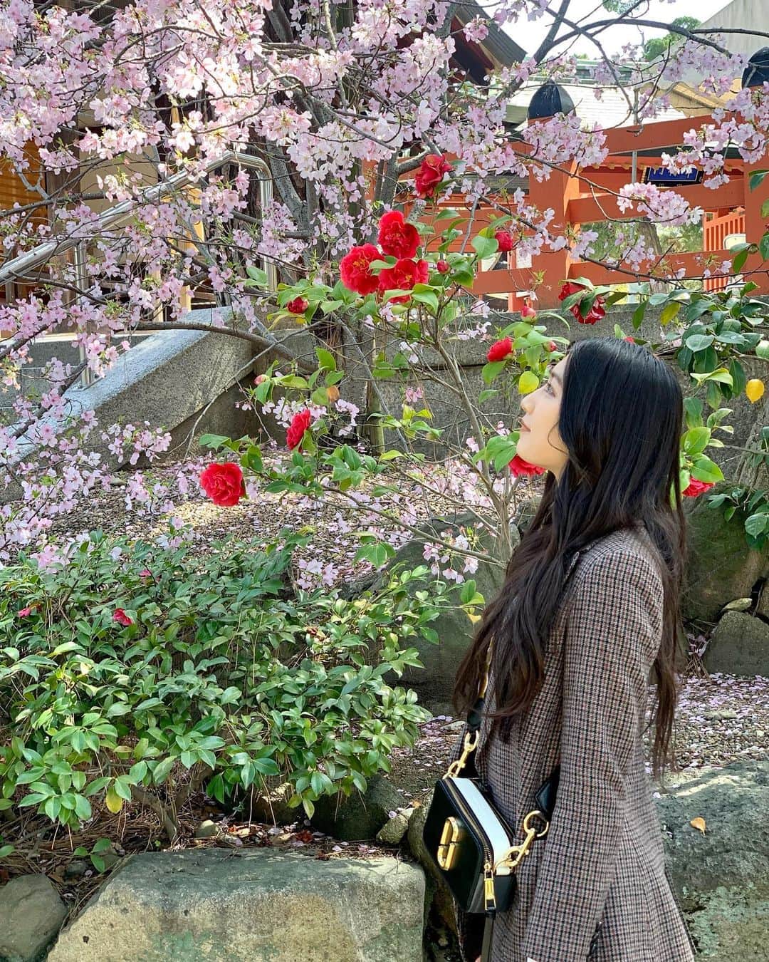 塩月希依音さんのインスタグラム写真 - (塩月希依音Instagram)「🌸🌱  #桜#さくら#サクラ#cherryblossom  #春#はる#お花見#花見#spring #jk#sjk#05#05년생 #05line」4月6日 22時18分 - keito.shiotsuki