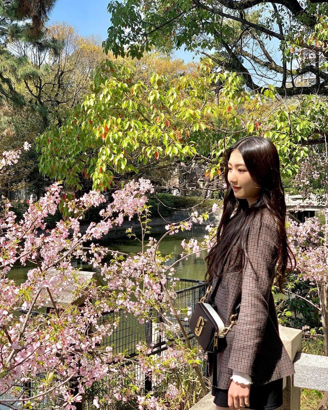 塩月希依音のインスタグラム：「🌸🌱  #桜#さくら#サクラ#cherryblossom  #春#はる#お花見#花見#spring #jk#sjk#05#05년생 #05line」