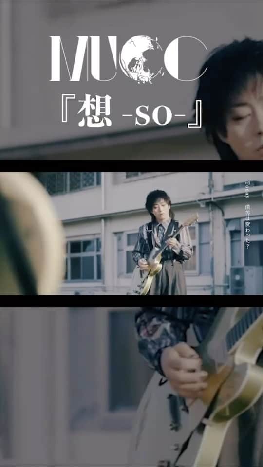 ミヤ のインスタグラム：「「想 -so-」ミュージックビデオ公開！ https://youtu.be/OQuvcNpQgfk  NEW SINGLE『想 -so- / 耀 -yo-』 『MUCC 25th Anniversary TOUR 「Timeless」～鵬翼・極彩～』会場にて販売中！ #mucc25th」