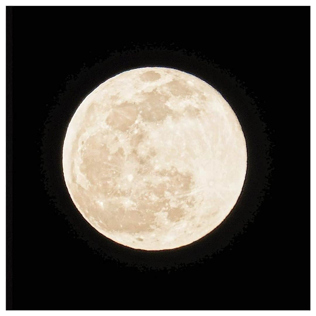 さだまさしさんのインスタグラム写真 - (さだまさしInstagram)「４月の満月🌕 ピンクムーン . #満月 #ピンクムーン #さだまさし #sadamasashi」4月6日 22時52分 - sada_masashi