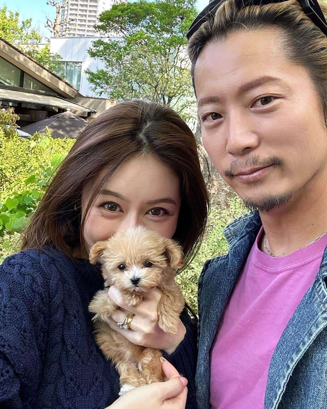 Reikaさんのインスタグラム写真 - (ReikaInstagram)「meet Angie 👼❤️❤️❤️❤️❤️  こんな可愛い子いますか(親バカ😂)  ご縁がありやっとお出迎えしたマルプーのアンジー💕💕  パパは既に超ーデレデレで😂 子供達も幸せそう❤️🥺 ハナ先生に関しては同化してしまったのか 急に自分もワンチャンだと思ってます🐕😂  ママは心がもうとろけまくっております🫠  #newfamily #マルプー　#天使ちゃん👼」4月6日 23時02分 - reikamarianna