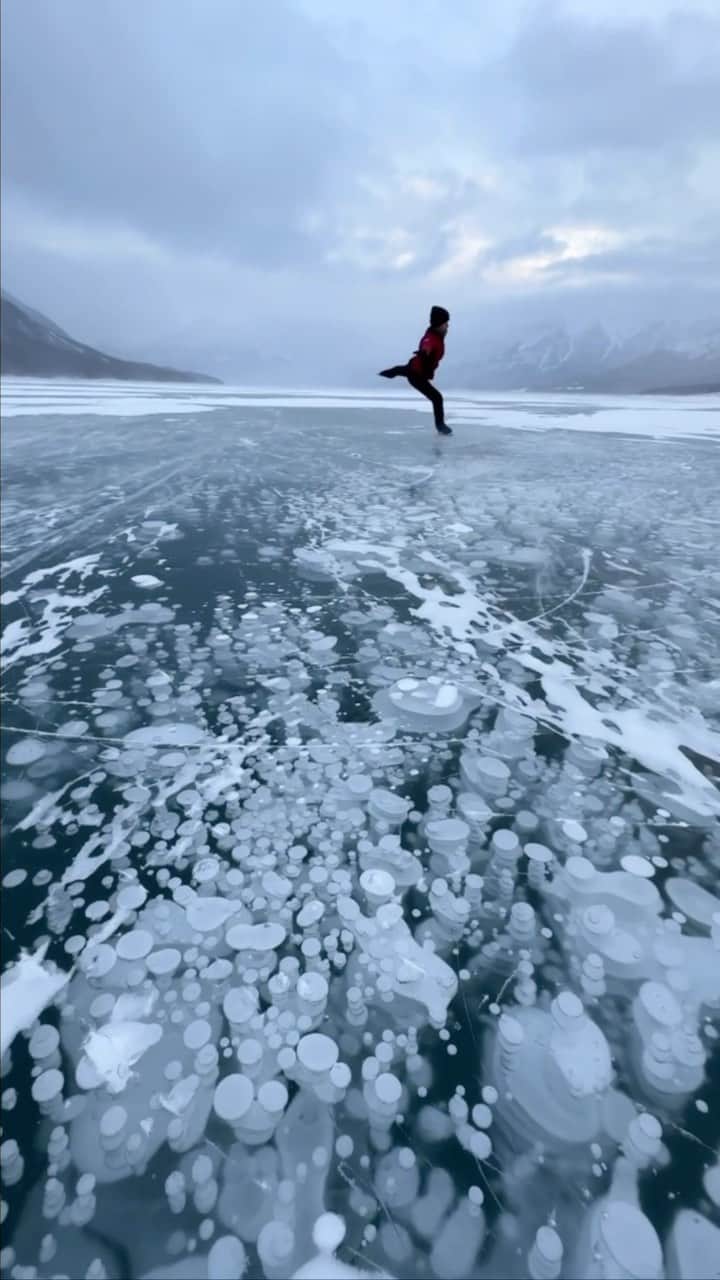 ブライス・シューダックのインスタグラム：「I love sharing all that Mother Nature has to offer. There’s nothing quite like being in the middle of nowhere, on a frozen lake, with endless freedom and scenery to appreciate.   Filmed by @paulzizkaphoto   #wildice #frozenlake #figureskating #chasingwildice #abrahamlake #rockymountains #ice #skating #winter #snow #freedom #scenery #viewsfordays #wilderness #mothernature #methane #bubbles」