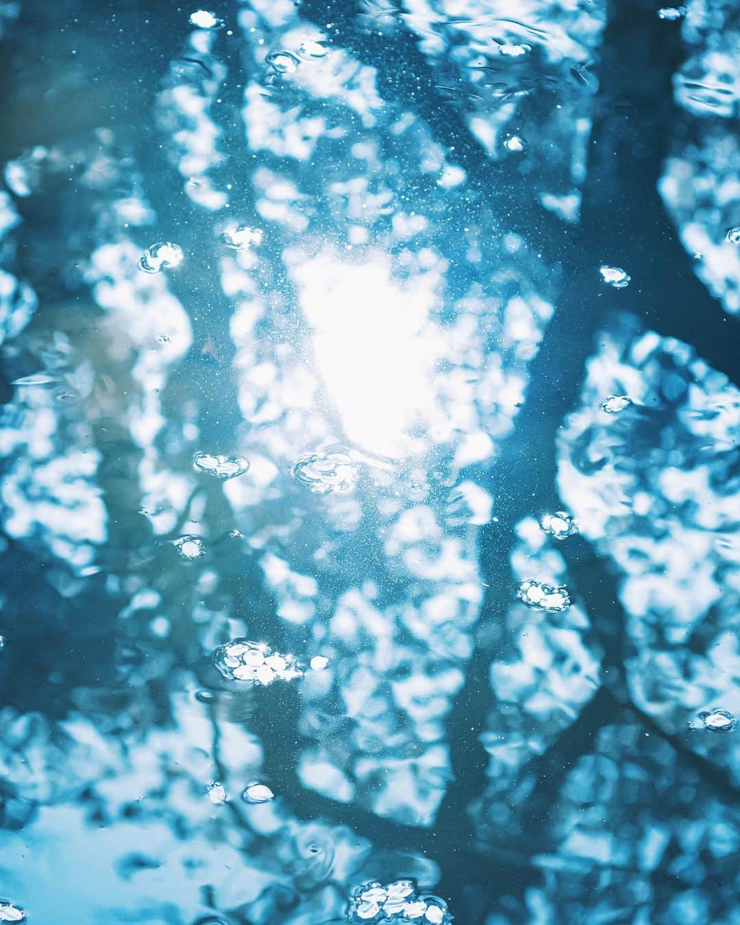 国分真央さんのインスタグラム写真 - (国分真央Instagram)「. 写真を通して 美しいものに触れるたび 自分の澱みを思い出します ⁡ ⁡」4月6日 23時03分 - mao_kokubu
