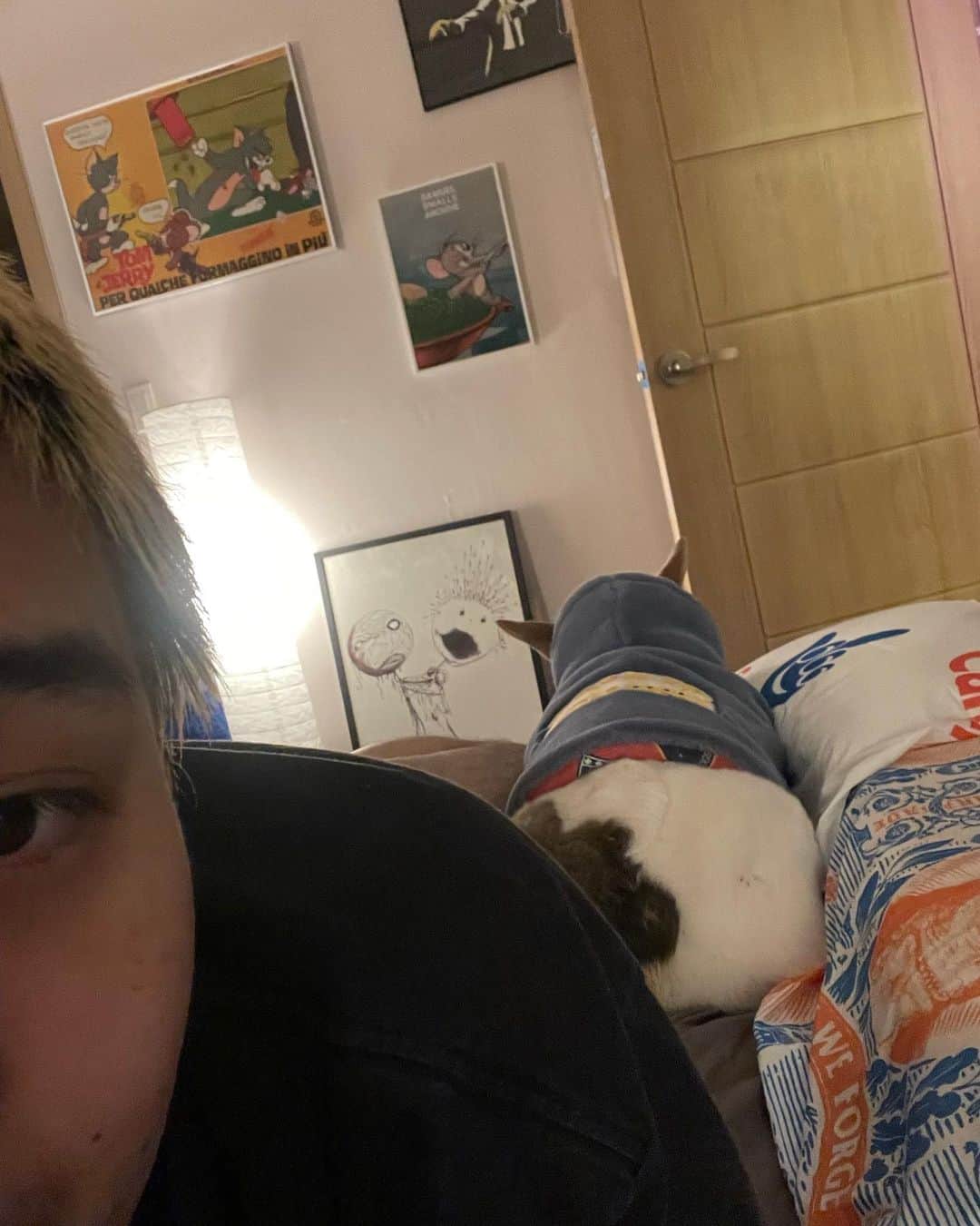 のインスタグラム：「おうち帰った瞬間コンジュとベットダイブ🫠🐶  #絶賛ベットの上におもちゃ持って来て遊べって言われてる #コンジュかわいい  #ばり笑顔 #コーギー  #いつコンジュのインスタ作るん」
