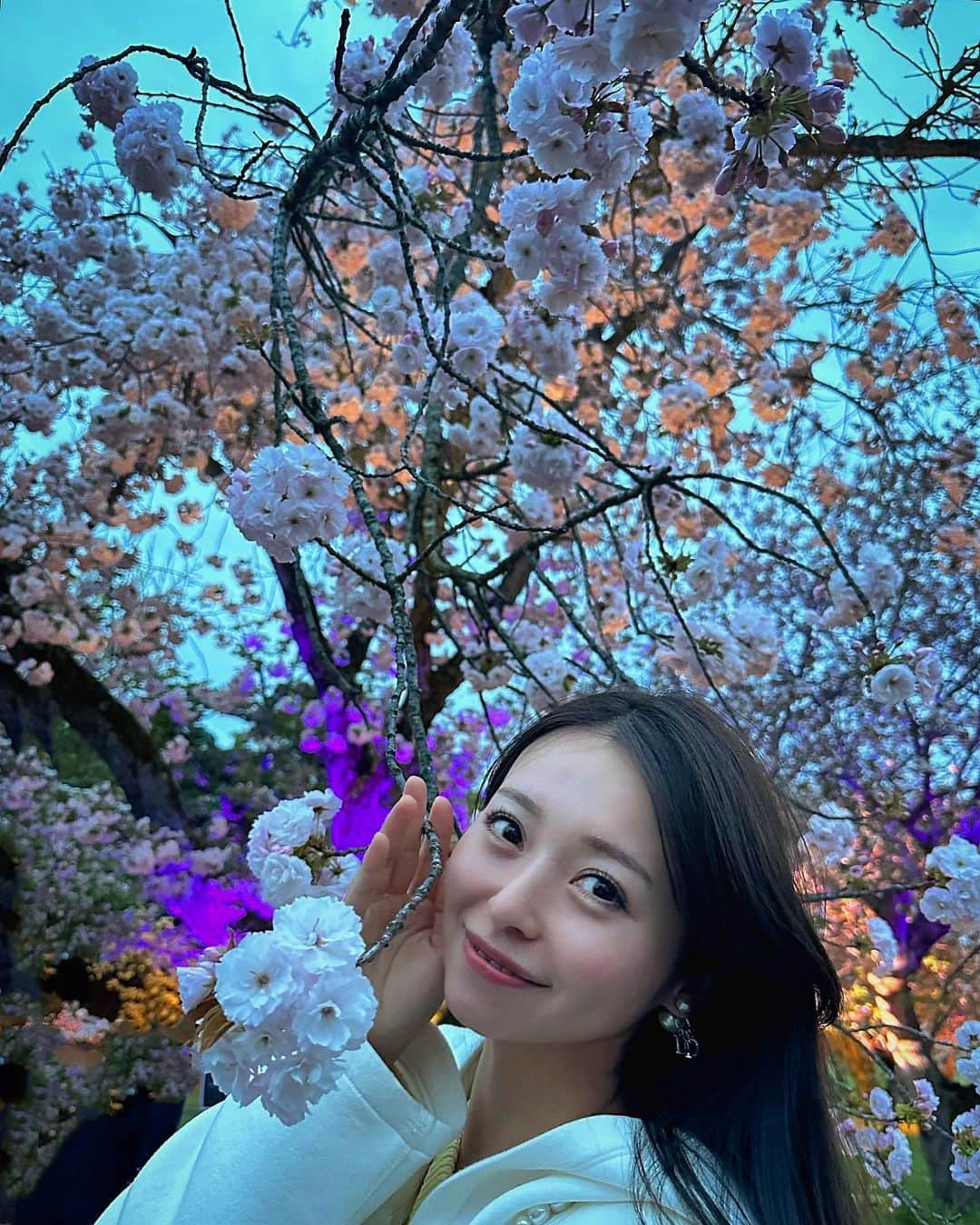 黒澤ゆりかのインスタグラム：「さて、私は今どこにいるでしょう？？笑  海外の方は桜と写真をこう撮るそうで🌸 たしかにお花をより感じられて幸せ☺️」