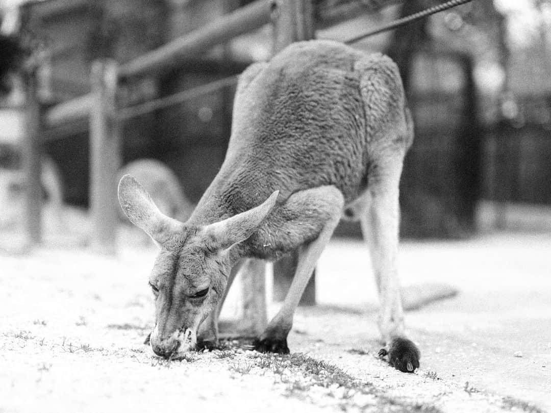 山田悠介のインスタグラム