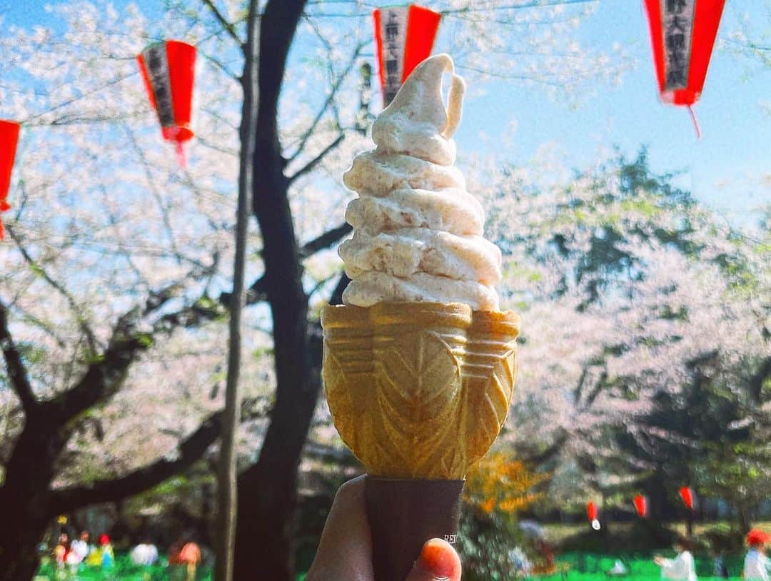 帝子さんのインスタグラム写真 - (帝子Instagram)「桜見た」4月6日 23時39分 - soraimuteiko