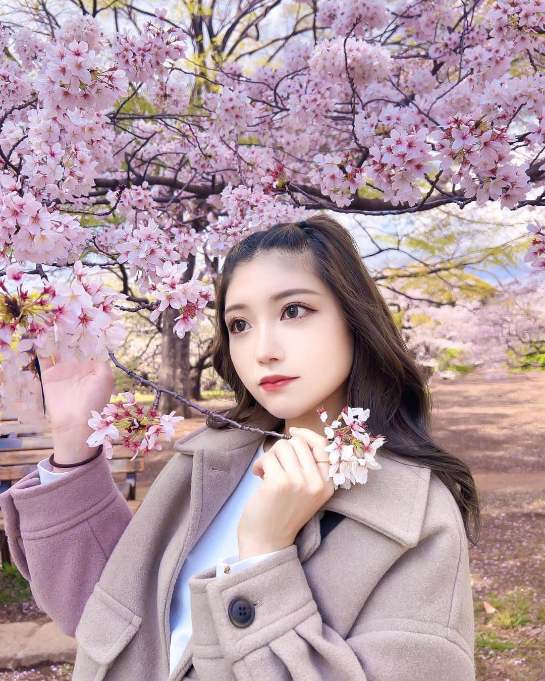 AYAのインスタグラム：「何枚目の私が好き❔  #桜#🌸#桜スポット#桜の木の下で  #花見#花見スポット#花見コーデ  #桜満開🌸#花より団子🍡 #それよりも#花粉症#どうにかしたい#🤧🌼」