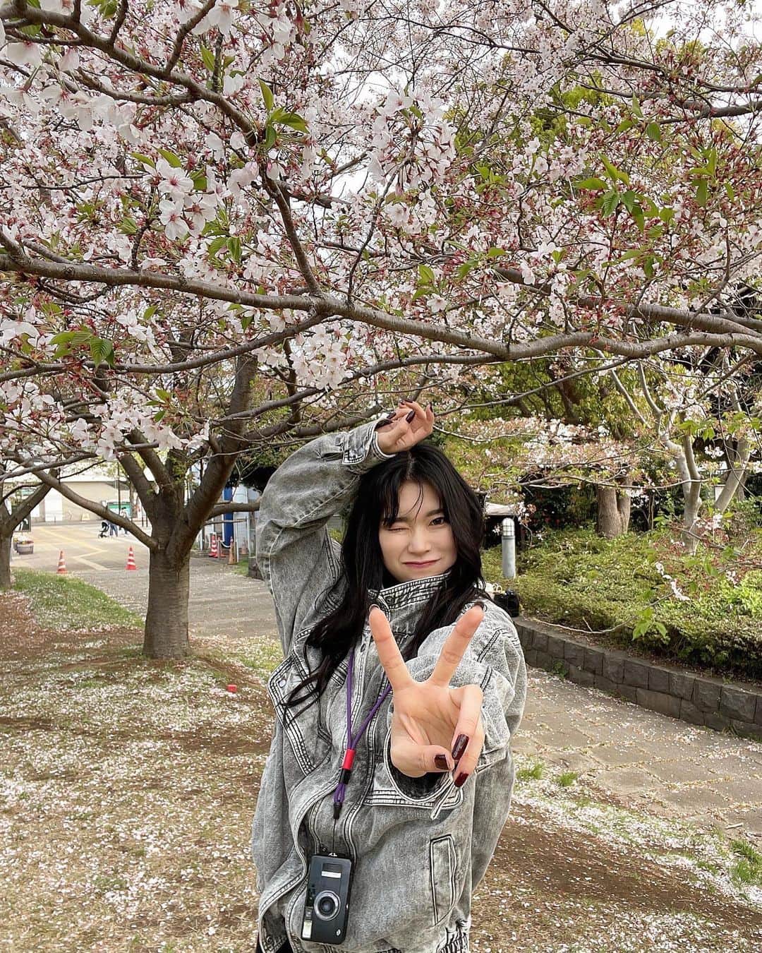 YU-Ki EMPiREさんのインスタグラム写真 - (YU-Ki EMPiREInstagram)「. 桜間に合ったー！🌸」4月6日 23時57分 - yu_ki_exwhyz_