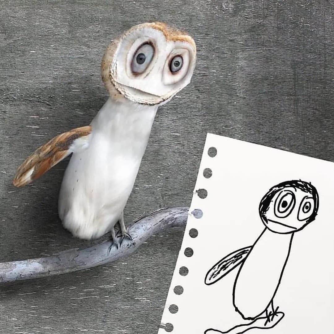 animalsさんのインスタグラム写真 - (animalsInstagram)「Father recreates his children's drawings of animals and it's terrifyingly funny 😅  Which picture is your favorite from 1-8? 🥰 - Photos by: @thingsihavedrawn」4月6日 23時57分 - babyanmlpics