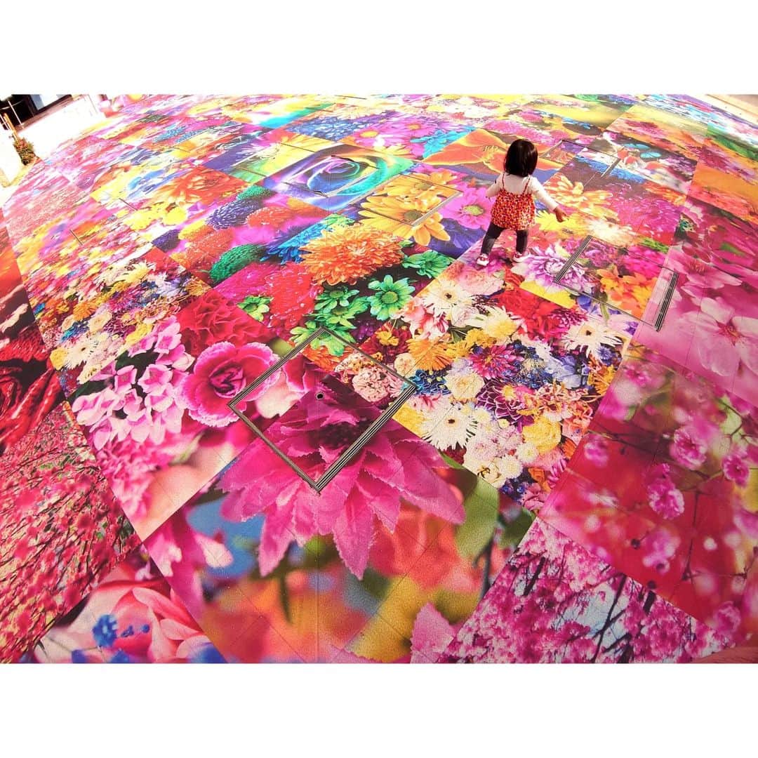 矢田部ゆかのグルメインスタ