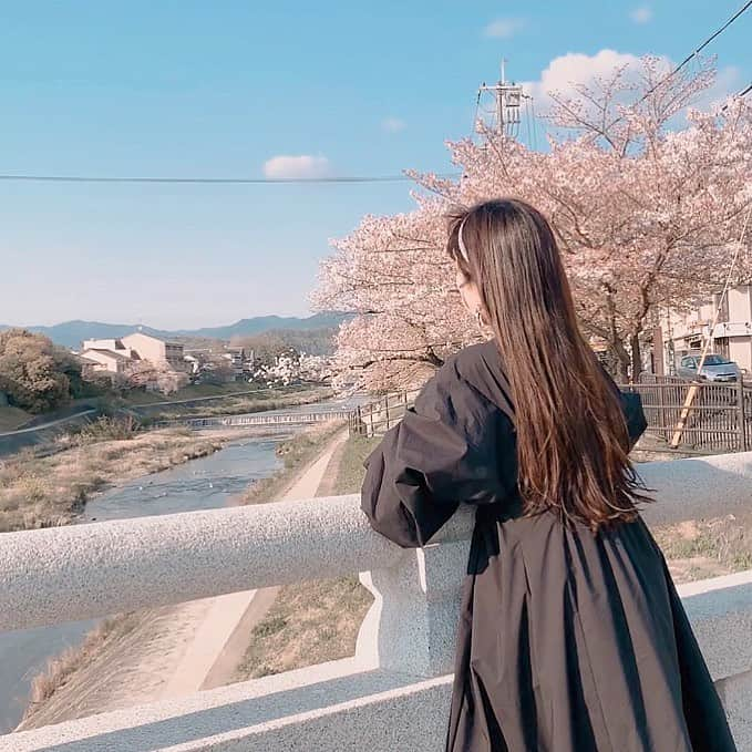 Yuka Kaedeのインスタグラム：「. . 京都・高野川でお花見🌸 . . . #_asyuka_ #cherryblossom #kyotojapan #kyototrip #kyoto #beautifuldestinations #beautifuljapan #igersjp #japantrip  #lifestyle #tv_lifestyle #花見スポット #お花見 #京都 #京都観光 #鴨川 #高野川」