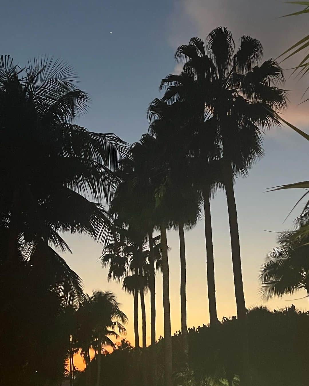 タリアナ・バルガスのインスタグラム：「Miami city of light 💡」