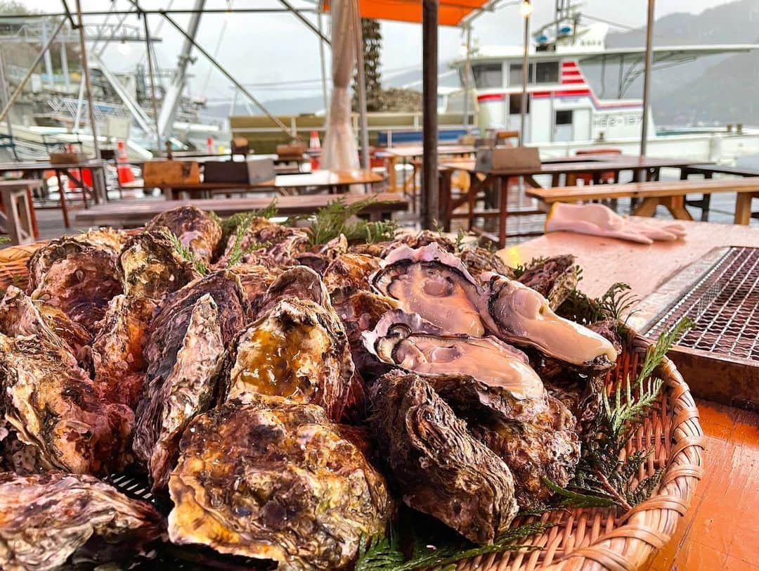 依田司さんのインスタグラム写真 - (依田司Instagram)「4月7日（金） テレ朝系列局中継が再開。今朝は広島HOMEテレビにご協力頂き、創業300年以上の老舗「島田水産」から牡蠣をご紹介。広島湾に広がる牡蠣棚は、自然豊かな宮島から栄養豊富な雨水が流れ込みおいしい牡蠣に育ちます。牡蠣の集積場に牡蠣小屋があり、超新鮮な採れたての牡蠣を堪能できちゃいます。蒸し牡蠣、牡蠣ご飯、牡蠣の雑炊、牡蠣フライ、、どれも、あまりの美味しさに「みるき〜〜〜〜っ！！」と叫んでしまいました笑。  きのう夕方は、HOMEさんの「ピタニュー」に出演させて頂きました。ゲストの元カープ中田投手と共に丸2時間スタジオでのトークや野仲気象予報士との天気予報、楽しかったです。ちなみに、、 同じ時間の真裏ではももクロちゃん達も広島入りしていてスタジオトークしており、「依田色クローバーゼットVSももいろクローバーZ in広島」という熱き戦いが展開されていたのでした笑。  #島田水産 #牡蠣大好き #依田さん #依田司 #お天気検定 #テレビ朝日 #グッドモーニング #気象予報士 #お天気キャスター #森林インストラクター #グリーンセイバーアドバンス #プロジェクトワイルド #IPCC伝導者 #japan #japantrip #japantravel #unknownjapan #japanAdvenそture #japanlife #lifeinjapan #instagramjapan #instajapan #療癒 #ilovejapan #weather #weathercaster #weatherforecast」4月7日 10時17分 - tsukasa_yoda