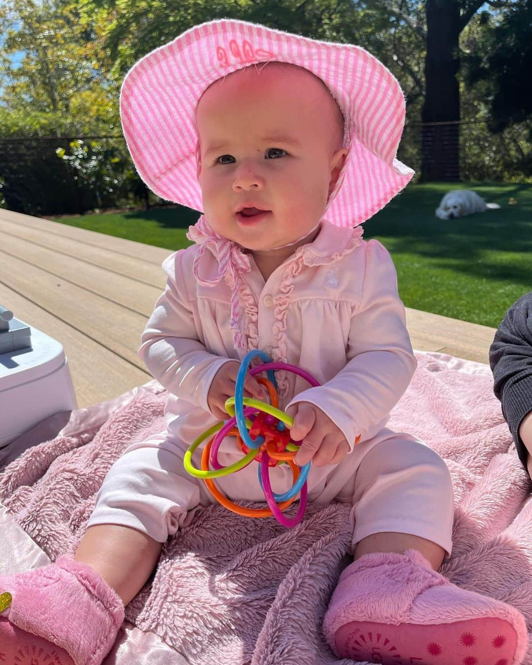 ネイサン・エイドリアンさんのインスタグラム写真 - (ネイサン・エイドリアンInstagram)「Baby Brooklyn is 7 months old already! Where has the time gone!」4月7日 10時34分 - nathangadrian