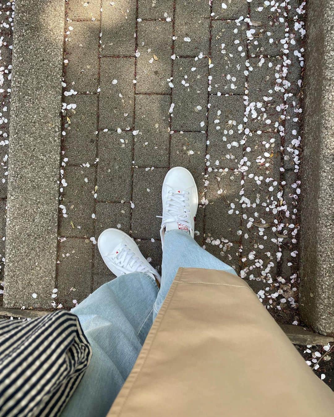 のインスタグラム：「🌸👟 #spring #cherryblossom #park #sneaker #tokyo #japan」