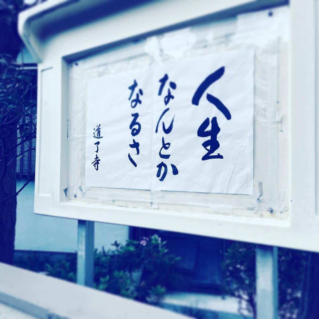 中野敬久さんのインスタグラム写真 - (中野敬久Instagram)「#人生なんとかなるさ #お寺 #ケセラセラ」4月7日 11時16分 - hirohisanakano