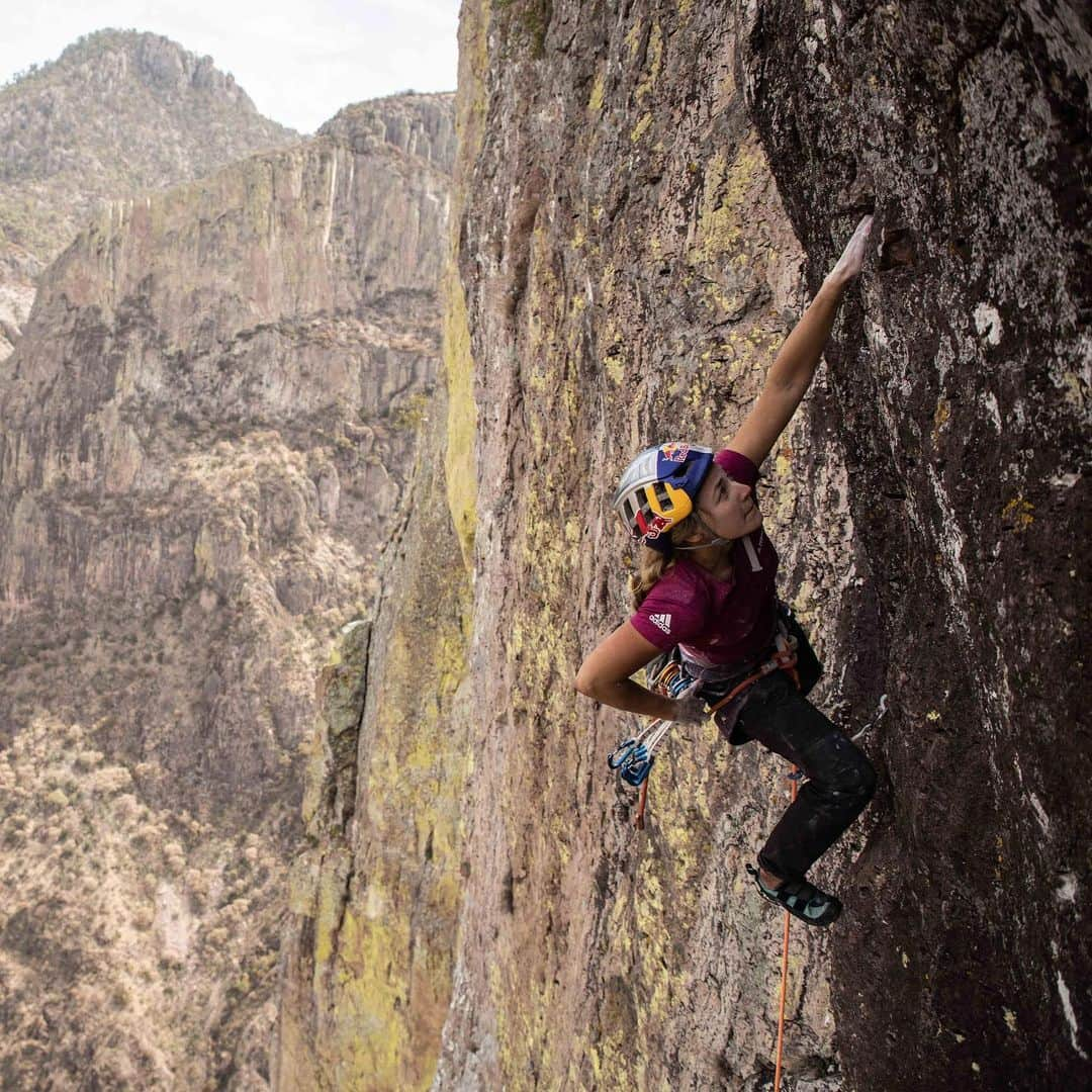 サッシャ・ディギーリアンさんのインスタグラム写真 - (サッシャ・ディギーリアンInstagram)「Some moments from Mexico captured by @pablo_durana during a trip to climb 3,000 foot Logical Progression (5.13-) on El Gigante. This was 5 weeks after my final hip surgery and by many accounts a lesson in perhaps “too soon,” but also a climb that got me back on the proverbial horse, and into a mindset that I needed to return to climbing after a tragedy, 9 months off, and a global pandemic. 💛 @namevian @stoaga @kevin__capps @erikosterholm  #climbing #logicalprogression #womenwhoclimb」4月7日 3時54分 - sashadigiulian