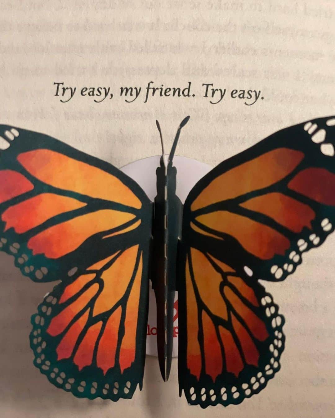 ヴィクター・ウッテンのインスタグラム：「Have you read it? Have you heard it? (also on audio) Thank you, Judy, for the photos. 🦋」