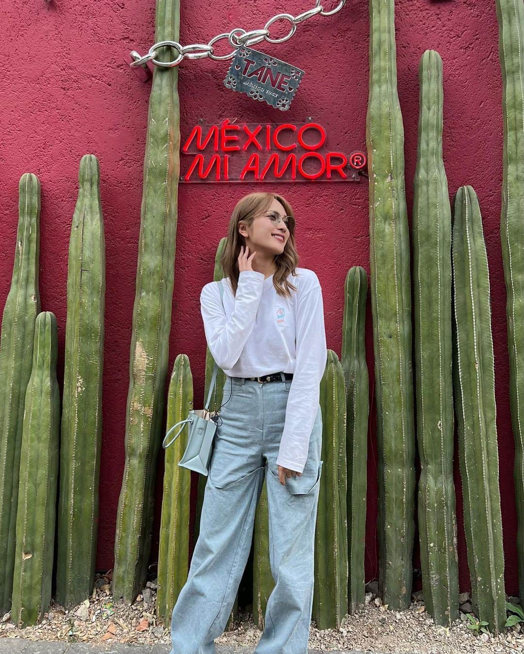 のインスタグラム：「Un paseito por Polanco 🩷  Hay un nuevo video en mi canal sobre esta colonia, por si quieren ir a verlo. Ahora quiero hacer una compra de más de millón e pesos!😂  メキシコシティの中のリッチなゾーンをお散歩。 1枚目は映えスポットとして有名なところです🌵♥️」
