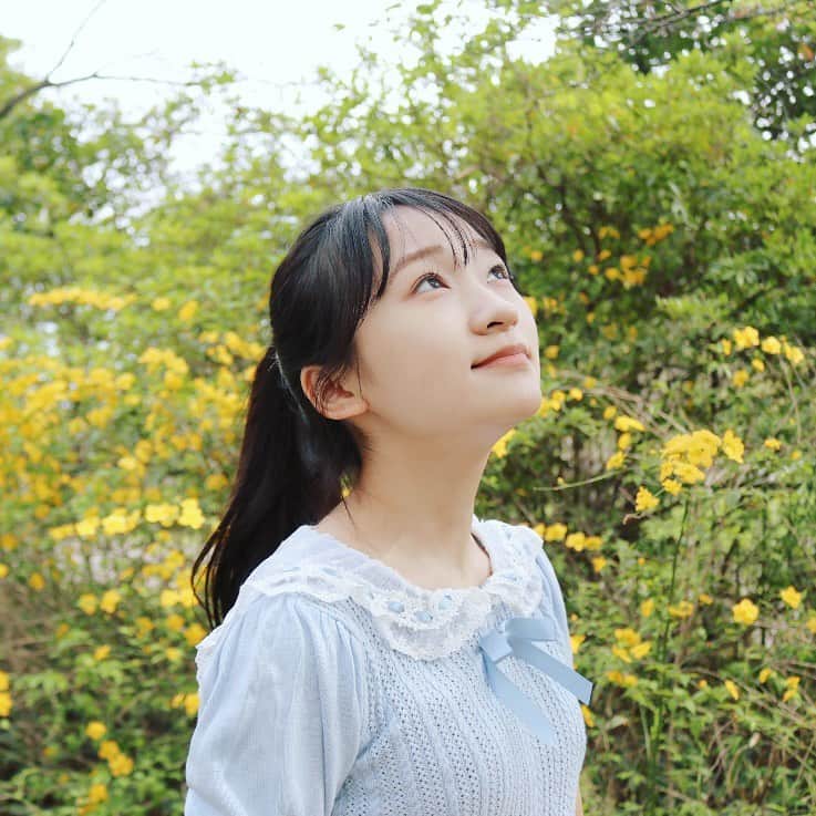 前野えまさんのインスタグラム写真 - (前野えまInstagram)「yellow flowers🌼 ・ ・ #yellow  #flowers  #flowerphotography  #flowerstagram  #springflowers  #girlportrait #actress #actor #girl #photography #portrait #japanesegirl #portraitphotography #daily_phot_jpn #japan_daytime_view」4月7日 6時38分 - maeno_ema