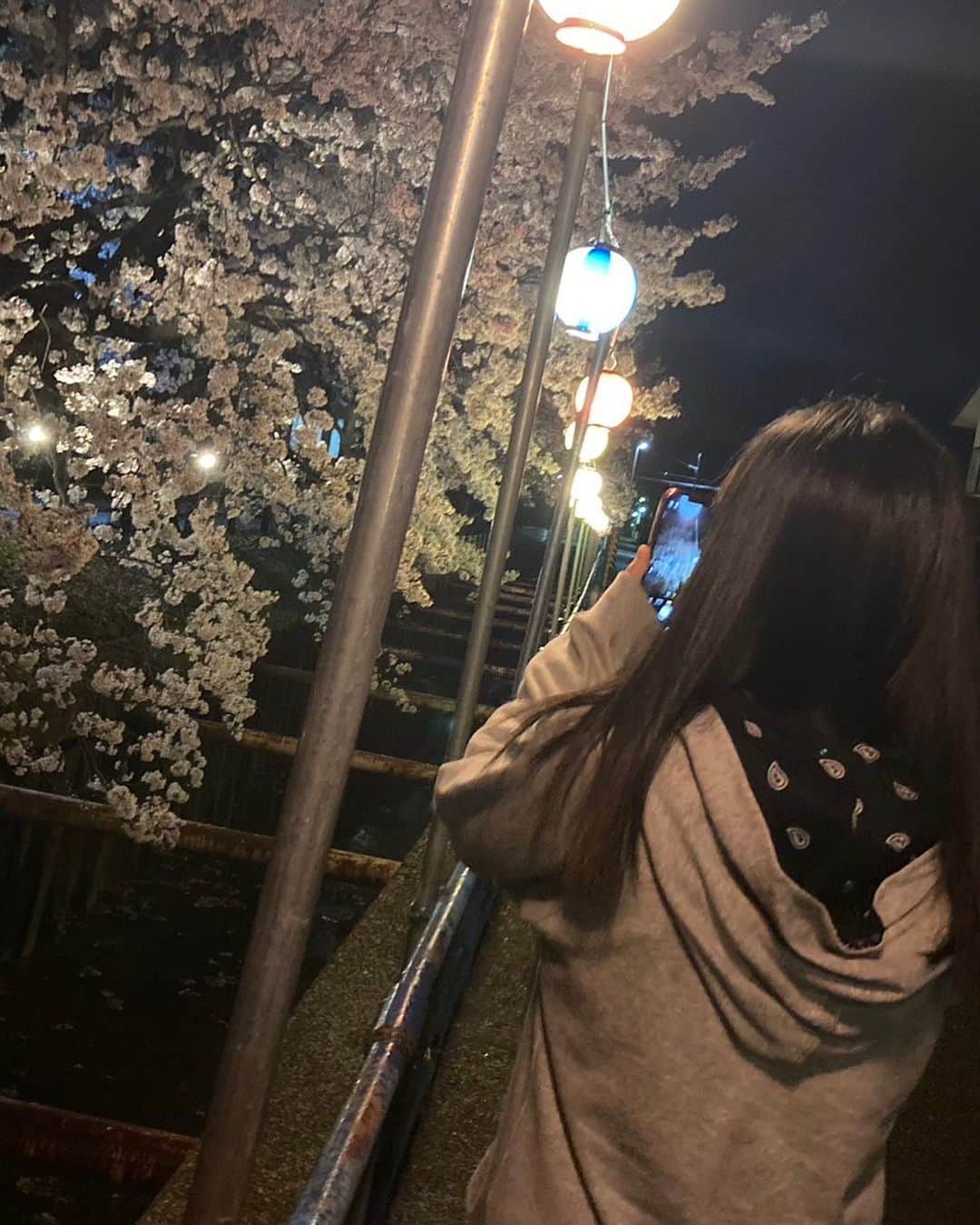 内山ミエさんのインスタグラム写真 - (内山ミエInstagram)「#歩き方おもしろい #腰痛持ち #ハッシュタグがやかましい #桜🌸 #夜桜」4月7日 6時39分 - mieuchiyama