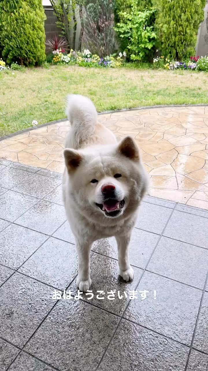 水谷雅子のインスタグラム