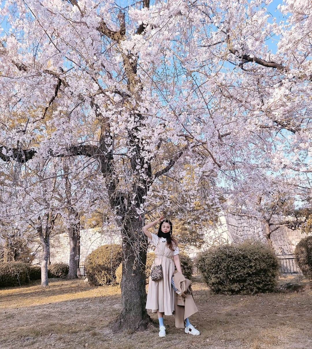 のインスタグラム：「여기가 ~ 여기가 ~  여기루 ! 여기루 !  잠깐... 동전좀..... 일루오세요 !!!!  가이드라는 직업 매력있네 🤪 . #강은비 #japan #osaka #kyoto」
