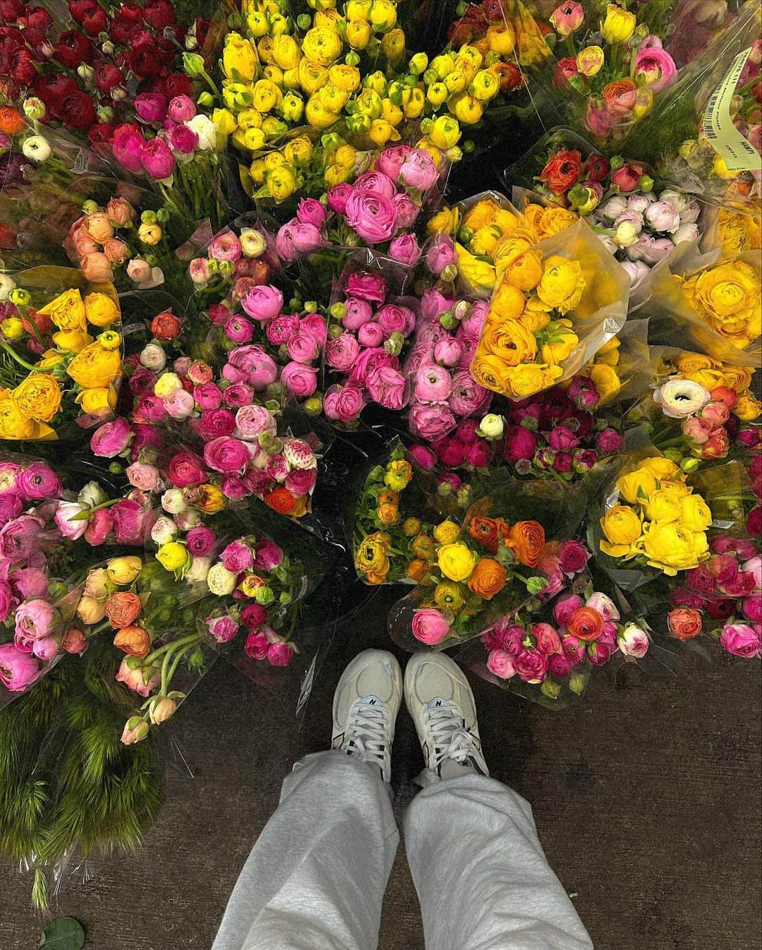 ジュリー・サリニャーナさんのインスタグラム写真 - (ジュリー・サリニャーナInstagram)「My happy place- the flower mart. 🌸Took many, many trips to the flower mart last week to prep for my babyshower! Constantly inspired by beautiful flowers 🌼💐  SO EXCITED to share my babyshower this weekend with you! STAY TUNED for all the details of the theme, food, decor and more, I’m still over the moon from last weekend! 🥰🥹🫶🏽」4月7日 9時40分 - sincerelyjules
