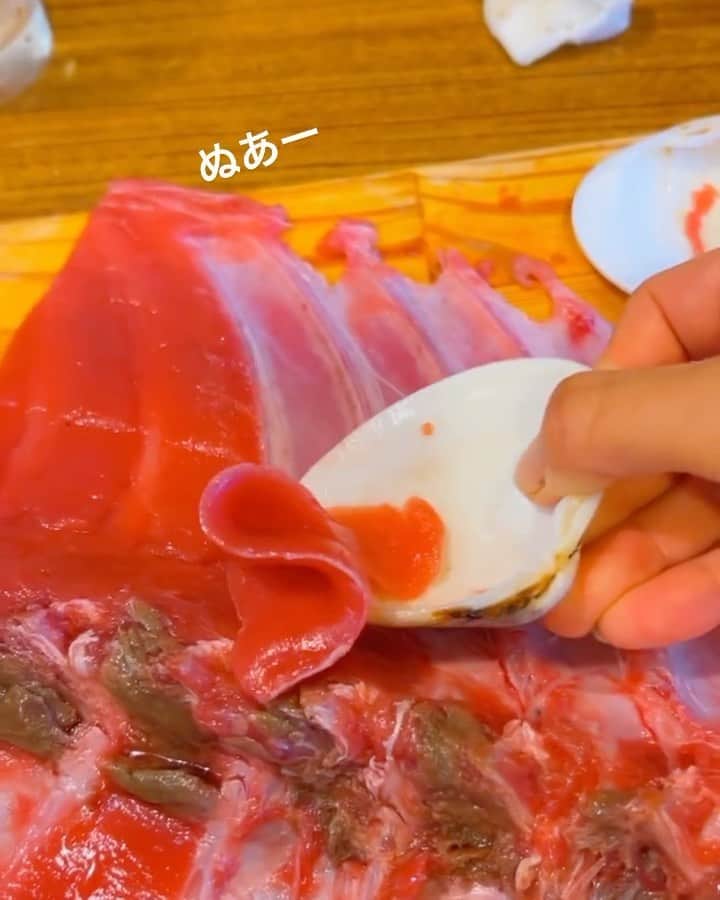 なーみのグルメインスタ