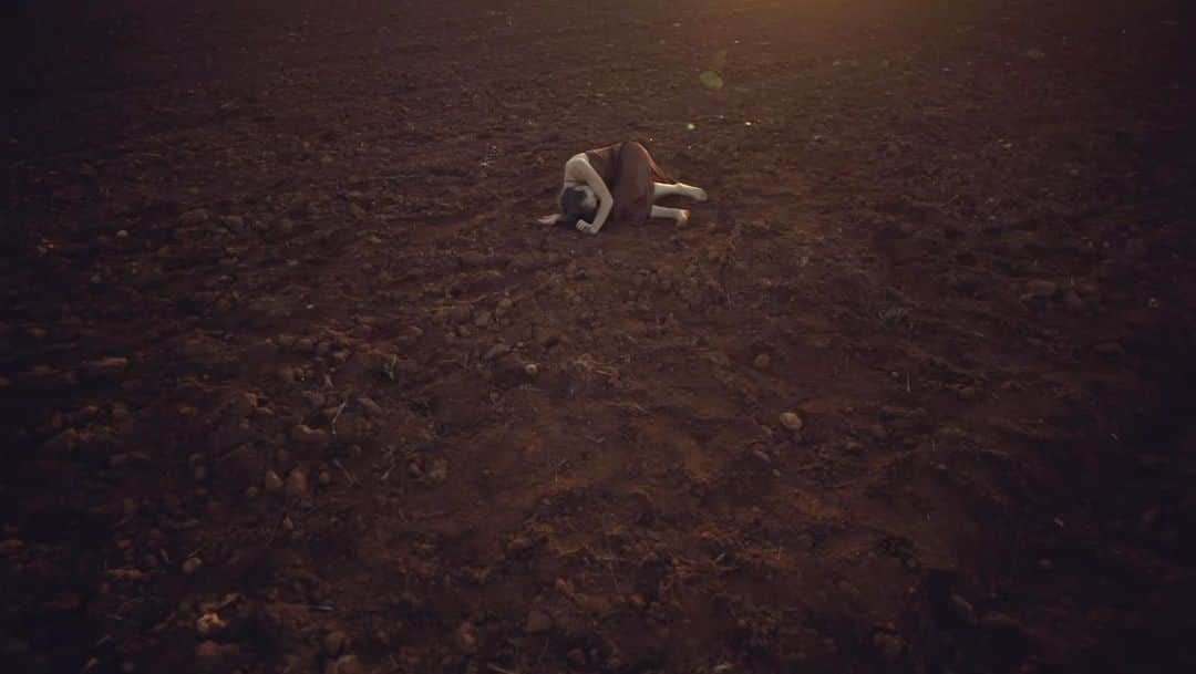 ダヴィネスのインスタグラム