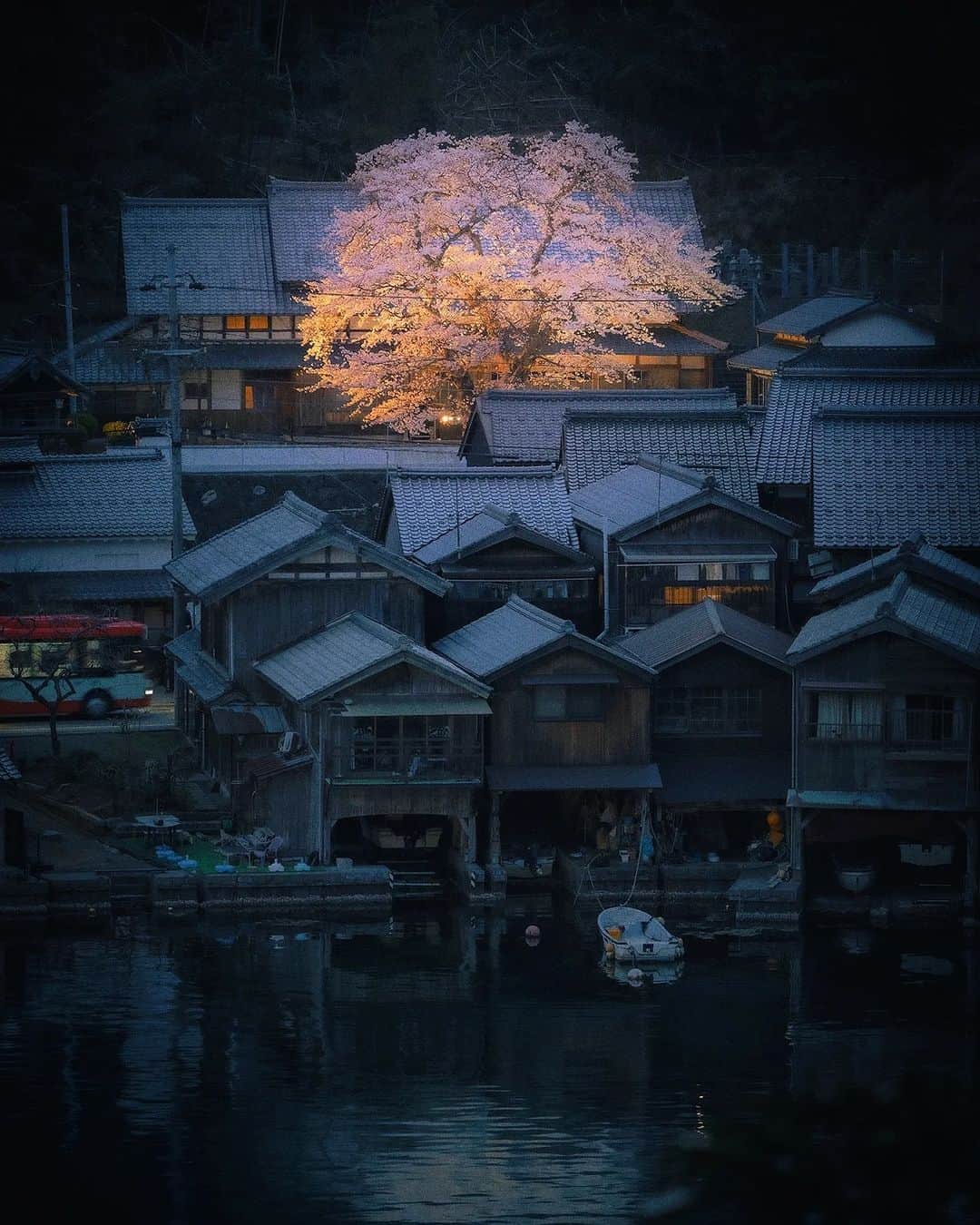 Berlin Tokyoのインスタグラム：「A Cherry blossom tree gently illuminate the night of a traditional fishing town. . . . #hellofrom kyoto #japan」