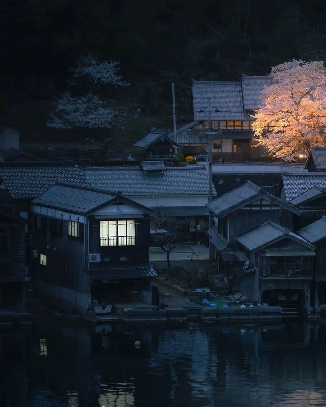Berlin Tokyoさんのインスタグラム写真 - (Berlin TokyoInstagram)「A Cherry blossom tree gently illuminate the night of a traditional fishing town. . . . #hellofrom kyoto #japan」4月7日 20時54分 - tokio_kid
