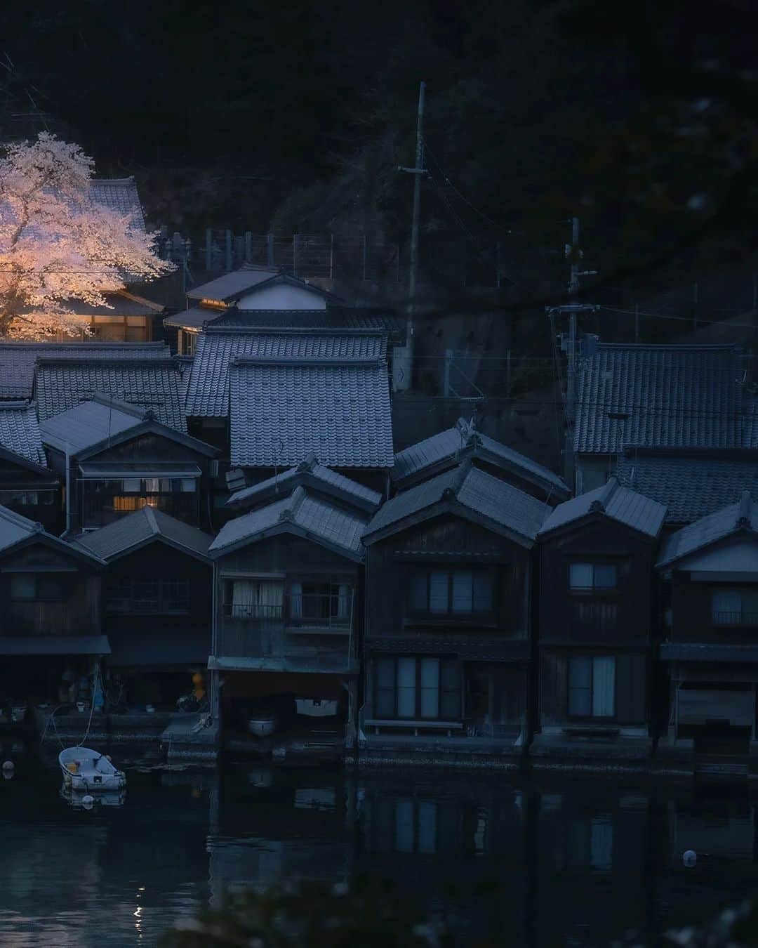 Berlin Tokyoさんのインスタグラム写真 - (Berlin TokyoInstagram)「A Cherry blossom tree gently illuminate the night of a traditional fishing town. . . . #hellofrom kyoto #japan」4月7日 20時54分 - tokio_kid