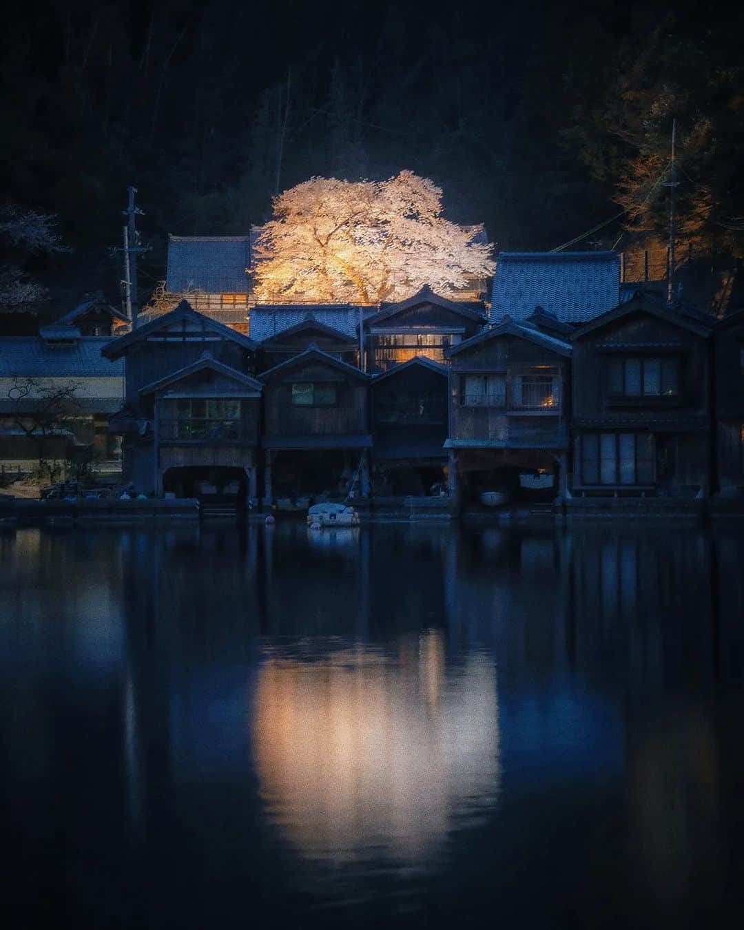 Berlin Tokyoさんのインスタグラム写真 - (Berlin TokyoInstagram)「A Cherry blossom tree gently illuminate the night of a traditional fishing town. . . . #hellofrom kyoto #japan」4月7日 20時54分 - tokio_kid