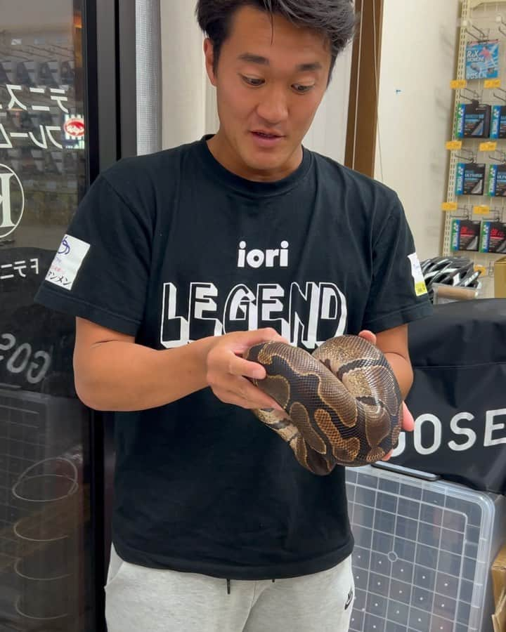 吉田伊織のインスタグラム：「めっちゃ興奮した🐍笑」