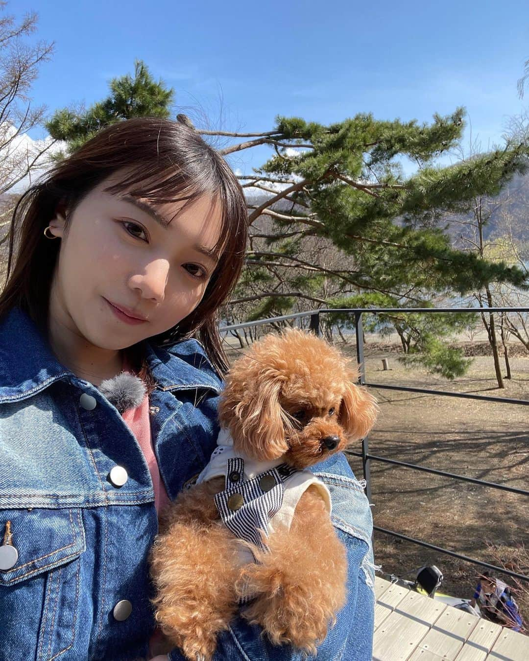 日向未来さんのインスタグラム写真 - (日向未来Instagram)「明日の#王様のブランチ に 愛犬ラルちゃんも登場します🐩🤎 . . ♛週末トラベル ♕ごはんクラブ . 初のテレビに最初は緊張していたけど 途中からは嬉しそうにずっとぴょんぴょんしてました🐾 . とっても貴重な体験もさせて頂きました！！🤭 . . 明日もスタジオにいます^^ 9時30分~ぜひご覧ください❕」4月7日 19時35分 - mirai_hinata.official