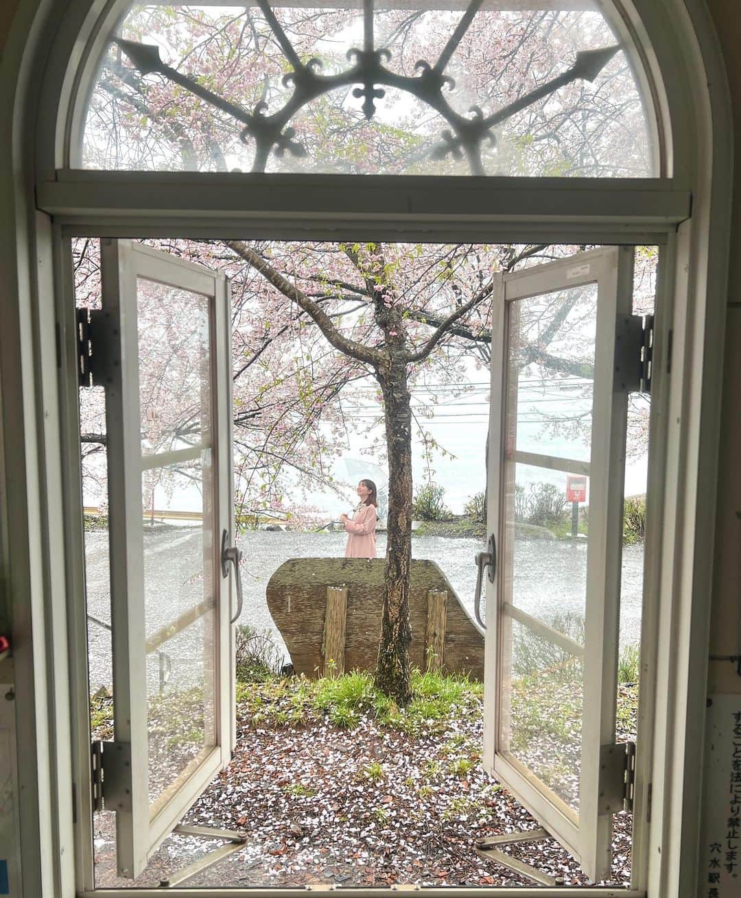 的場絢香さんのインスタグラム写真 - (的場絢香Instagram)「* ⁡ 新年度最初の旅したがーるは 穴水町の〝能登鹿島駅〟へ！ (朝どれの映像をお届けするという  新しいスタイルでした♩) ⁡ 桜の名所としても知られ 能登さくら駅の愛称で親しまれています🚃🌸 ⁡ いま約100本のソメイヨシノが満開！ 線路を覆うように咲く桜はトンネルのよう🛤 ⁡ 傘についた花びらもキレイで 雨ならではのお花見が楽しめました🌂♡ ⁡ _ _ _ #石川テレビ #旅したがーる #石川県 #能登 #能登鹿島駅 #能登さくら駅 #桜スポット」4月7日 19時38分 - ayaka_matoba