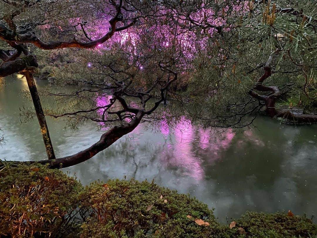 Atsukoさんのインスタグラム写真 - (AtsukoInstagram)「・ 平安神宮　桜音夜 紅しだれコンサート  第3夜　菊池亮太さんの演奏を聴きに行きました。  雨が降るなか傘をさしつつ、演奏を楽しませていただきました。神苑の池の上を跳ねる雨粒がピアノの音とリンクして、傘の中で桜香る音に酔いしれたひと時でした🌸 ・ ・ ＊」4月7日 19時51分 - atsuko12