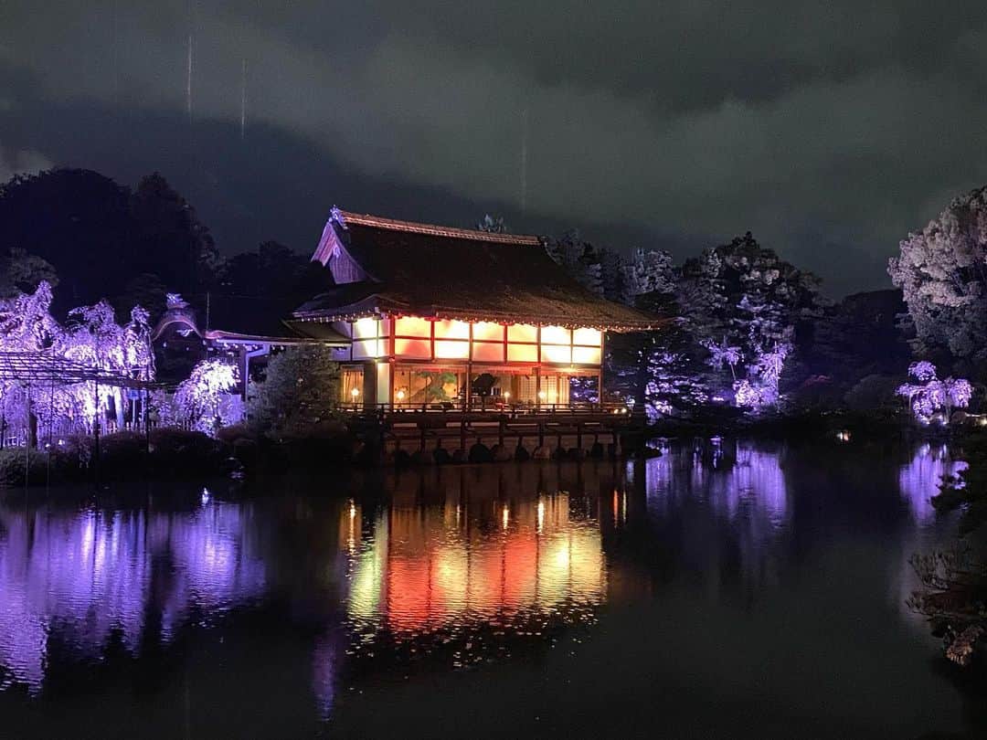 Atsukoのインスタグラム：「・ 平安神宮　桜音夜 紅しだれコンサート  第3夜　菊池亮太さんの演奏を聴きに行きました。  雨が降るなか傘をさしつつ、演奏を楽しませていただきました。神苑の池の上を跳ねる雨粒がピアノの音とリンクして、傘の中で桜香る音に酔いしれたひと時でした🌸 ・ ・ ＊」