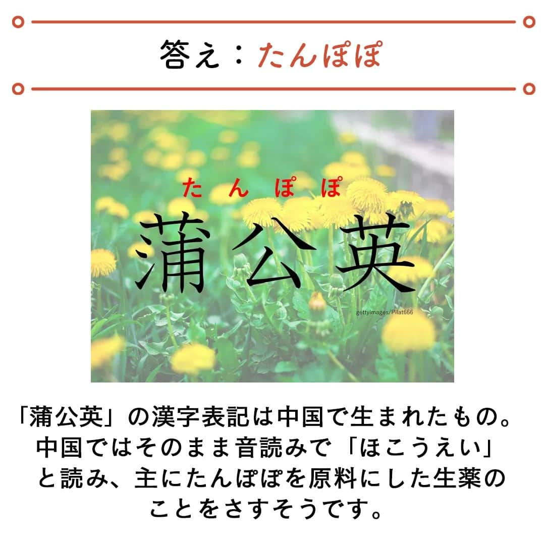 サンキュ！編集部さんのインスタグラム写真 - (サンキュ！編集部Instagram)「～なんて読む？ヒント：身近な春の景物～  ＠39_editors  日常生活で使う機会はほとんどないけれども、知っているとちょっと自慢できる難読漢字🧐  漢検準一級を有するサンキュ！STYLEライターのdanngoさんがチョイスした 難読漢字をご紹介します😄  ーーーーーーーーーーーーーーーーーーーーー サンキュ！では素敵な暮らしを営むおうちや工夫をご紹介していきます。 ぜひフォローしてください。  @39_editors⠀⠀⠀⠀⠀⠀⠀⠀⠀⠀⠀⠀⠀⠀⠀⠀⠀⠀⠀⠀⠀⠀⠀⠀⠀⠀​ ーーーーーーーーーーーーーーーーーーーーー  〈教えてくれた人〉 サンキュ！STYLEライターdanngoさん 国語科教員免許と漢検準一級を持つ、アラフォーの専業主婦。 二児の母で、子育て関連の記事を書くのが得意です。本を読むのが大好きですが、 一度読み始めると家事がおろそかになってしまうのが悩み。 子どもの遊び相手をすると本気になりすぎて怒られ、家事は手抜きになる一方 です。 甘いもの、日本の古いものをこよなく愛しています。   #漢字 #難読漢字 #読み方 #草冠 #漢検 #漢字検定 #日本語 #日本人 #豆知識 #勉強 #知識 #春 #花 #知っ得 #知恵袋 #博識 #勉強術 #勉強テク #勉強方法 #主婦 #頭の体操」4月7日 20時00分 - 39_editors