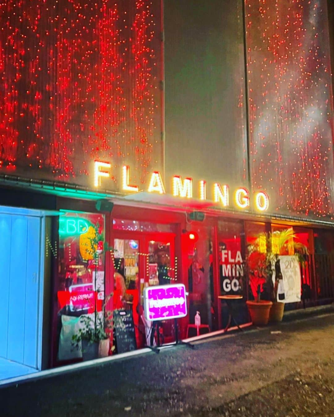 ニーコさんのインスタグラム写真 - (ニーコInstagram)「先日のCafe FLAMINGOクロージングパーティー‼️🥳🥳🥳🥳🥳ニーコもフラミンゴでのラストDJ‼️ めちゃくちゃ沢山の方が遊びに来てくれてフラミンゴ最後の日を一緒に過ごしました‼️ 音楽と仲間とテキーラ三昧、最高に楽しい締めくくりになりました🥹 沢山の熱い夜をありがとうCafe FLAMINGO🦩 ここで回して皆で騒いだ事は一生の思い出やで〜🥂✨ #cafeflamingo #渋谷 #DJ」4月7日 20時24分 - neeko_isuzu