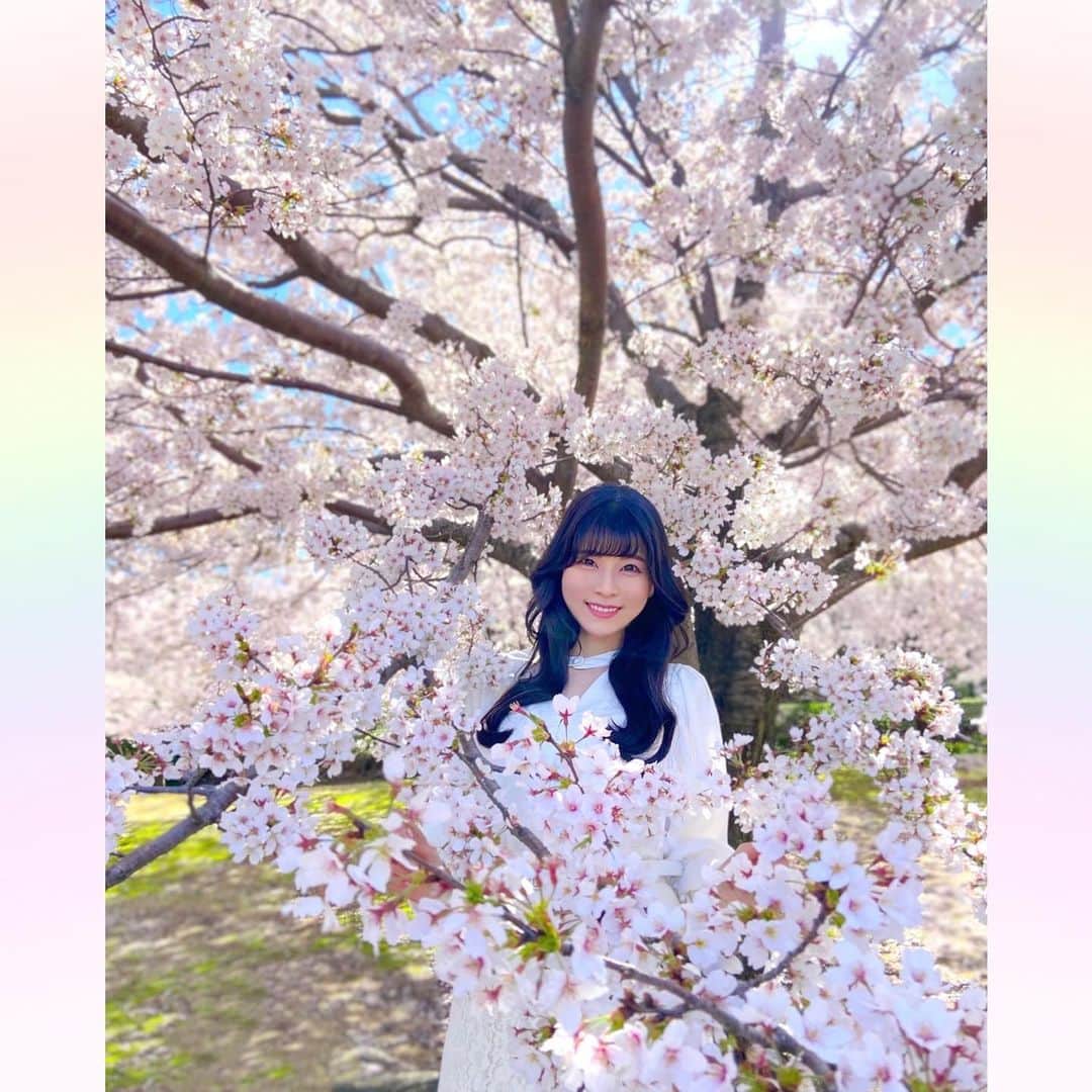 長柄ひろみさんのインスタグラム写真 - (長柄ひろみInstagram)「#sakura 🌸  今年も桜が見れました〜🤗💗  春っぽい音楽を付けてみたかったんだけど。 写真1枚投稿じゃないと音楽付けれないみたいだから、今日は1枚だけ😌🌸  さくらで検索したら、この曲が1番最初にでてきました。  皆さんはさくらと言ったらこの曲！みたいなのありますか？？  オススメのさくらソング、春歌あったら教えてください🥰🌸🌷  ｡・ﾟ・。❀｡・ﾟ・。❀｡・ﾟ・。❀｡・ﾟ・｡❀。・ﾟ・。  #さくら」4月7日 20時35分 - aoi_asahi