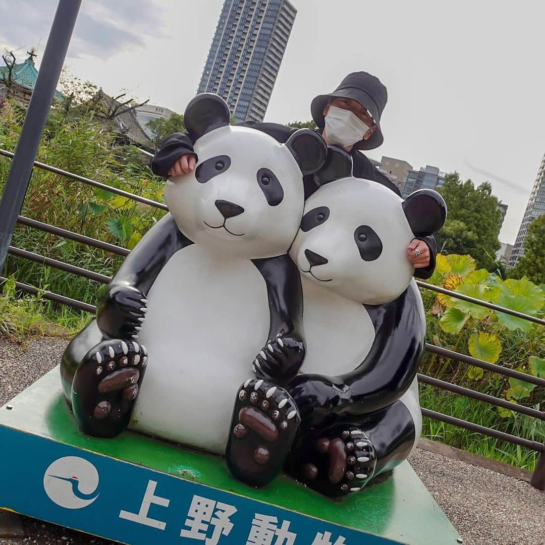 KAƵUKIさんのインスタグラム写真 - (KAƵUKIInstagram)「🐼  #上野動物園 #パンダ」4月7日 20時40分 - kazuki__tanabe
