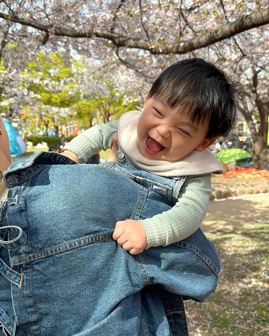 畑有里紗さんのインスタグラム写真 - (畑有里紗Instagram)「家族3人でお花見した日👨‍👩‍👦🌸  1年前の桜の時期はまだお腹の中にいたのに今年はこうやってお座りして一緒にご飯食べられるなんて🥹 👶🏻の成長ってすごいなぁぁ♡  のびのびと楽しそうにしている息子を見ながら美味しいもの食べてゆっくり過ごせて幸せのひと時でした🫶  コーデはみんな👖×ミントグリーンで合わせたよ😉  @sho_arii.family  #お花見#3人家族#息子#となのいる生活#男の子ベビー#男の子ママ#男の子パパ#赤ちゃんのいる生活#満開の桜#満開」4月7日 20時43分 - arii_m36