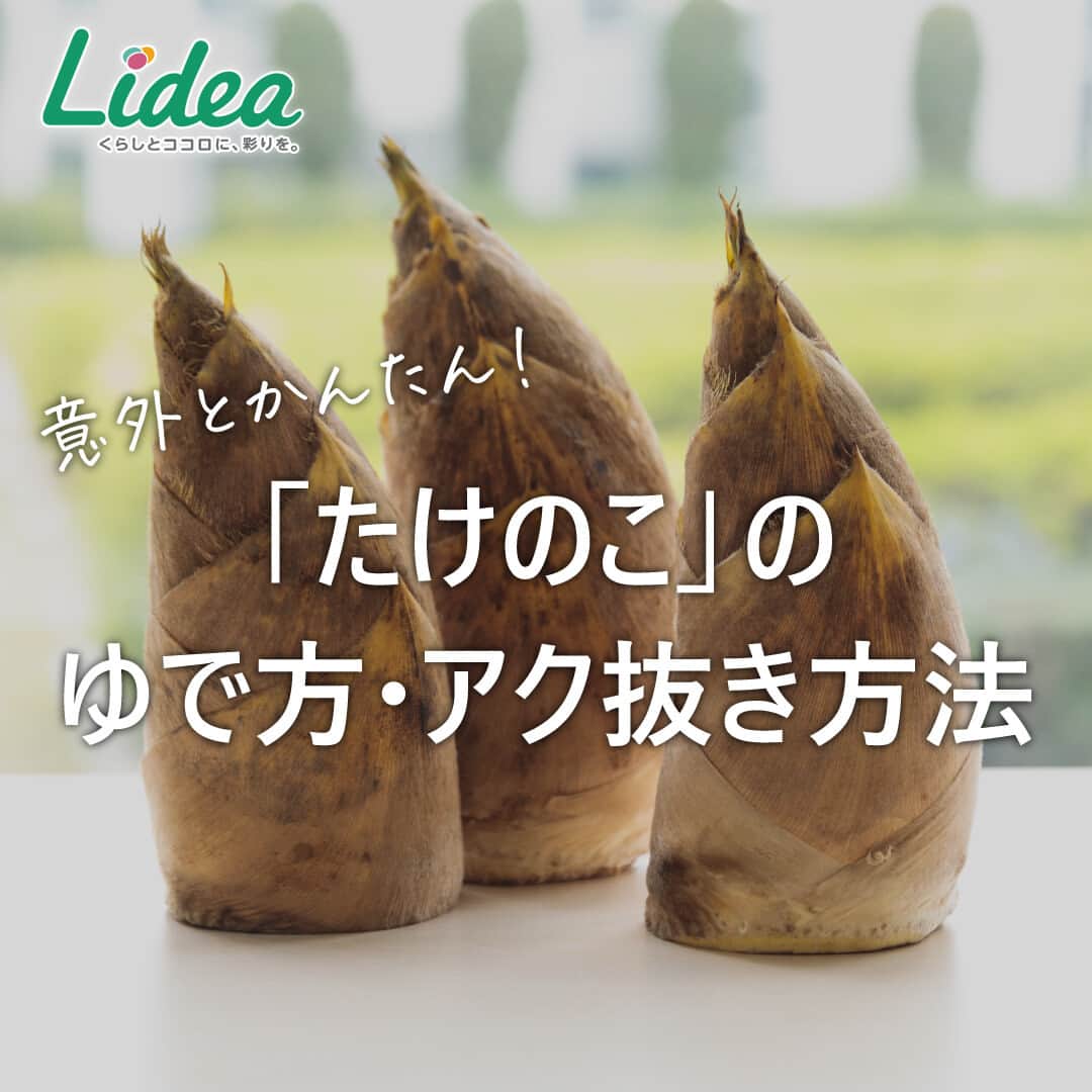 のインスタグラム：「. 【「たけのこ」のゆで方・アク抜き方法】  春が旬のたけのこ🎋 自分でゆでてアク抜きして、味わってみませんか？  米ぬかと、赤唐辛子と、大きな鍋があれば準備OK！ たっぷりのお湯で、煮立ってから1時間ほどゆでましょう。  ゆでて皮をむいたら、水に浸けて冷凍庫へ👍  調理しやすいようにカットして、冷凍庫でも保存が可能です✨  意外とカンタンなので、 ぜひこの時期だけの味を楽しんでみてくださいね😋  ------------------------------------------------------------------ ライオンが運営する 「Lidea」 公式Instagramアカウントです🦁 Lideaではライオンの賞品が当たるプレゼントキャンペーンを実施中！くわしくはプロフィールからどうぞ⇒ @Lidea_lion ------------------------------------------------------------------  #Lidea #LION #ライオン #ライオン株式会社 #暮らしのアイデア #ライフハック #暮らしの知恵 #生活の知恵 #暮らしの工夫 #暮らしを豊かに #おうちごはん #おうちごはんlover  #たけのこ #たけのこのアク抜き #旬の味 #春の味 #冷蔵 #冷蔵保存 #冷凍 #冷凍保存 #冷凍も冷蔵も新鮮保存バッグ #リード」