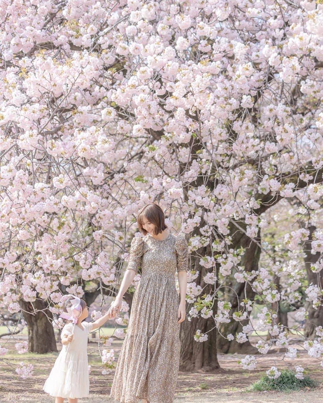 篠田麻里子のインスタグラム：「先日3歳の誕生日写真に🎂 1歳から毎年撮影してもらってる お友達のまきさんに花見がてら撮っていただきました♡  @21_maki   本当子供の🧒笑顔撮るのが素晴らしくてセンスも素晴らしい🫶🏻 たくさんの笑顔写真が撮れました📷✨  いつもは撮る側で2人の親子写真ってなかなかないから本当に貴重🙏  まきさんありがとうございます✨  @ties.photography   お気に入りの場所で撮れて良かった🌷  #3歳おめでとう#親子写真」