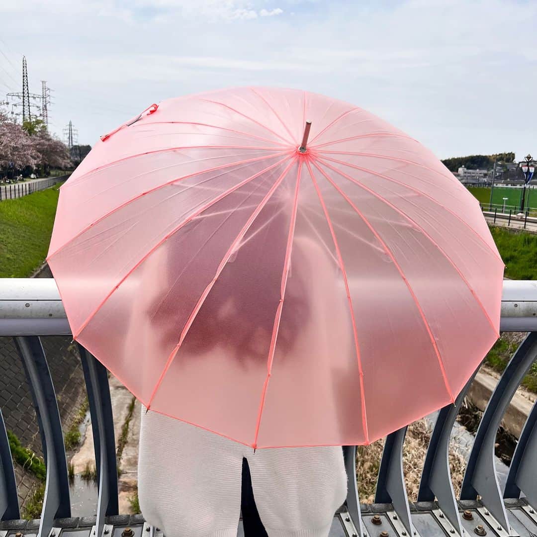 ヴィレッジヴァンガードオンラインストアさんのインスタグラム写真 - (ヴィレッジヴァンガードオンラインストアInstagram)「.  「こんな可愛い傘見たことない！」  雨の日をハッピーなムードに 　変えてくれるクリア長傘♪  【estaa新作】 https://vvstore.jp/feature/detail/17694/  #傘 #傘が好き #かさ #moonbat #estaa #かわいい #かわいいものが好き #おしゃれ #おしゃれな #おしゃれな暮らし #あめ #雨 #雨の日 #雨の日コーデ #雨の日デート #雨の日の過ごし方  #雑貨 #キャラクターグッズ #ヴィレヴァン #ヴィレヴァンオンライン #ヴィレッジヴァンガード」4月7日 12時30分 - village_vanguard
