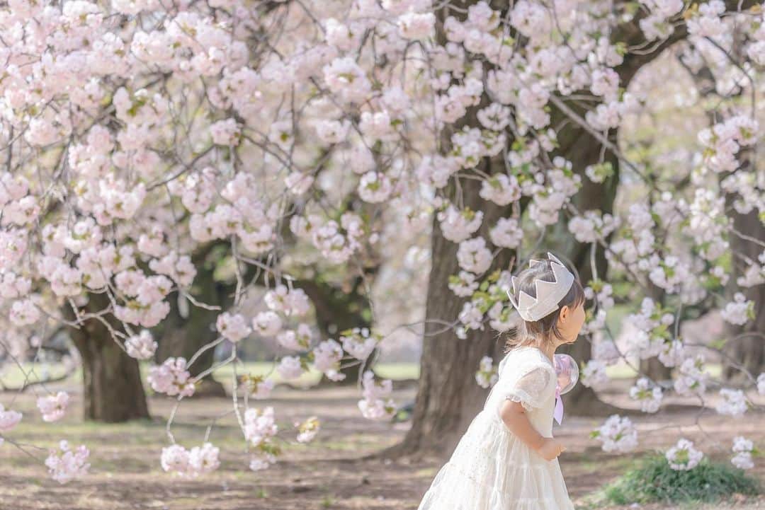 篠田麻里子さんのインスタグラム写真 - (篠田麻里子Instagram)「@21_maki  @ties.photography   桜間に合ってよかった🌸  #3歳記念」4月7日 12時46分 - shinodamariko3