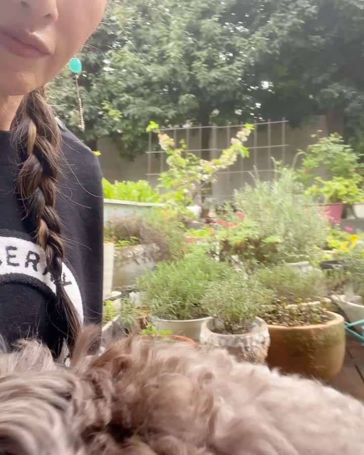 のインスタグラム：「朝からずっと駄々をこねていたアム🌸  呼んでも呼んで入らず。  最終的には「お芋？」と言ったら入りました。　　🤣🤣」